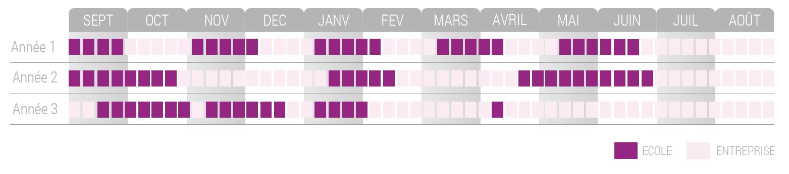 PLANNING APPRENTI