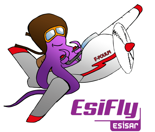 Esifly